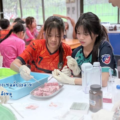 รูปภาพข่าว
